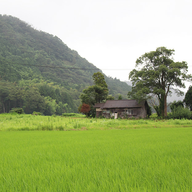 CAMP HOUSE 見かけた土地で妄想してみた