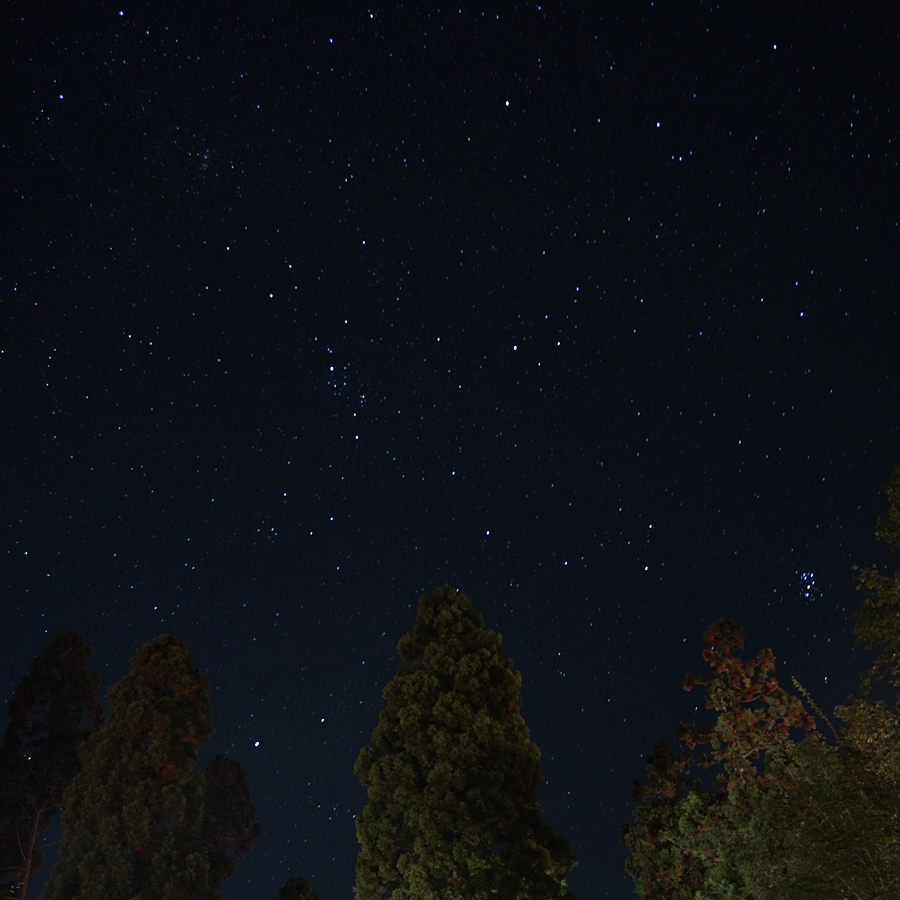 鳥取大山森の国　星空