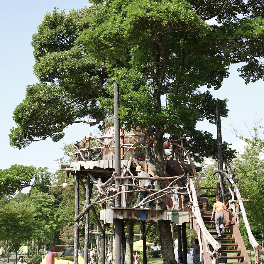 鳥取大山森の国ツリーハウス