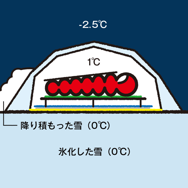 CAMP HOUSE/恩原高原での雪中キャンプ-就寝環境