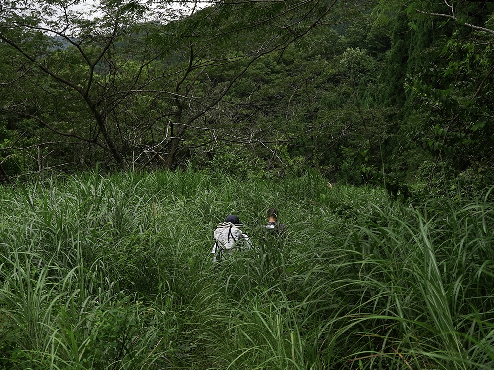 渓流キャンプに行ってきた-アプローチ