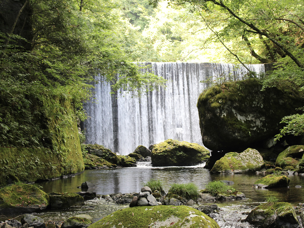 渓流キャンプに行ってきた-2020年の堰堤