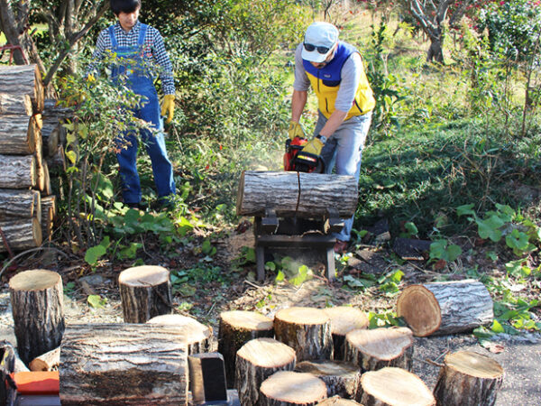 chopping-firewoods-cover-
