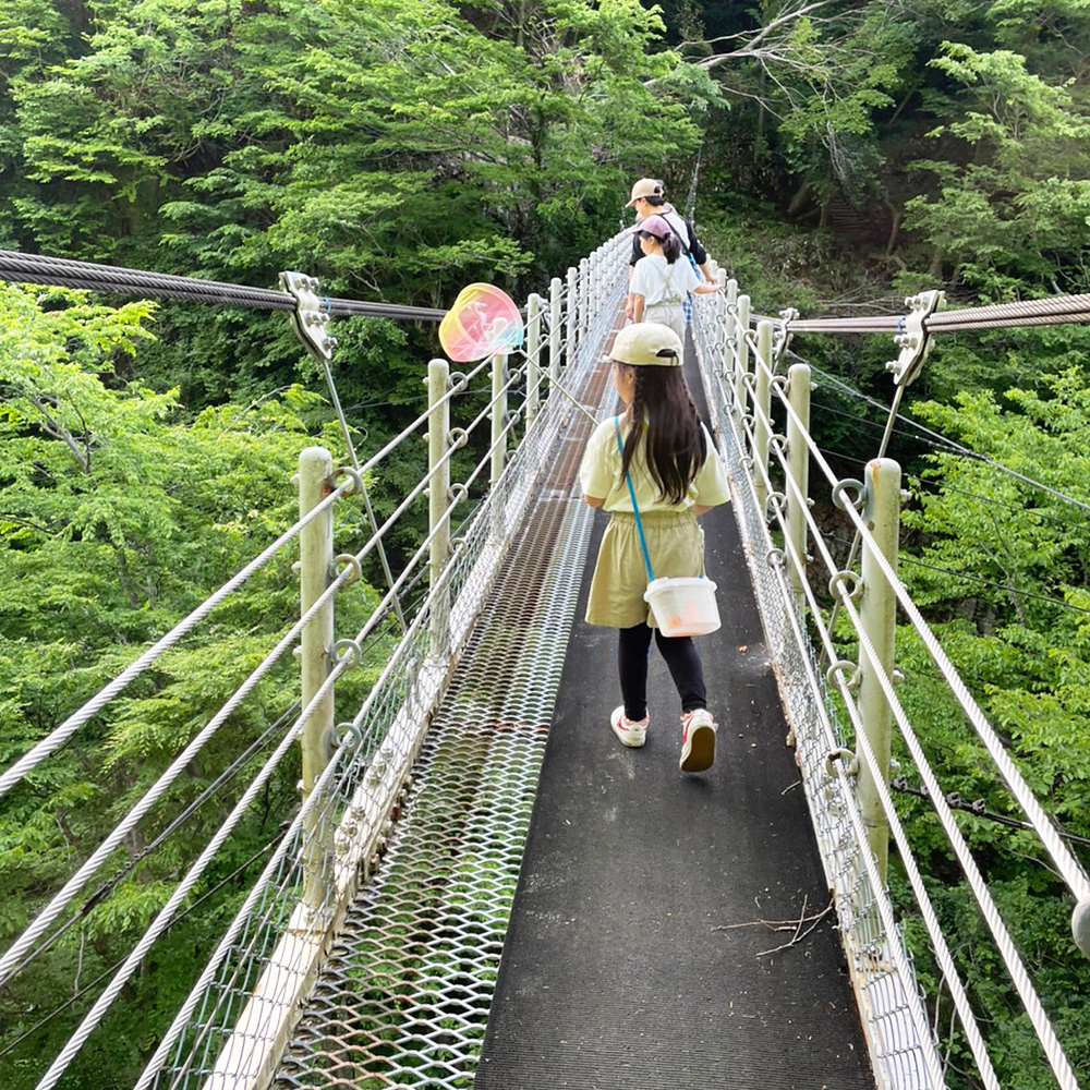 一向平キャンプ場-大山滝の道中にある吊り橋