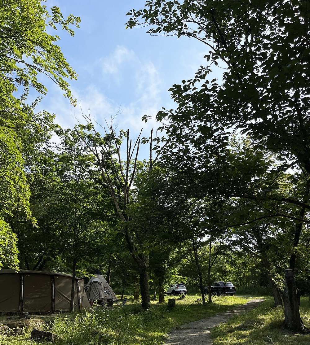 一向平キャンプ場