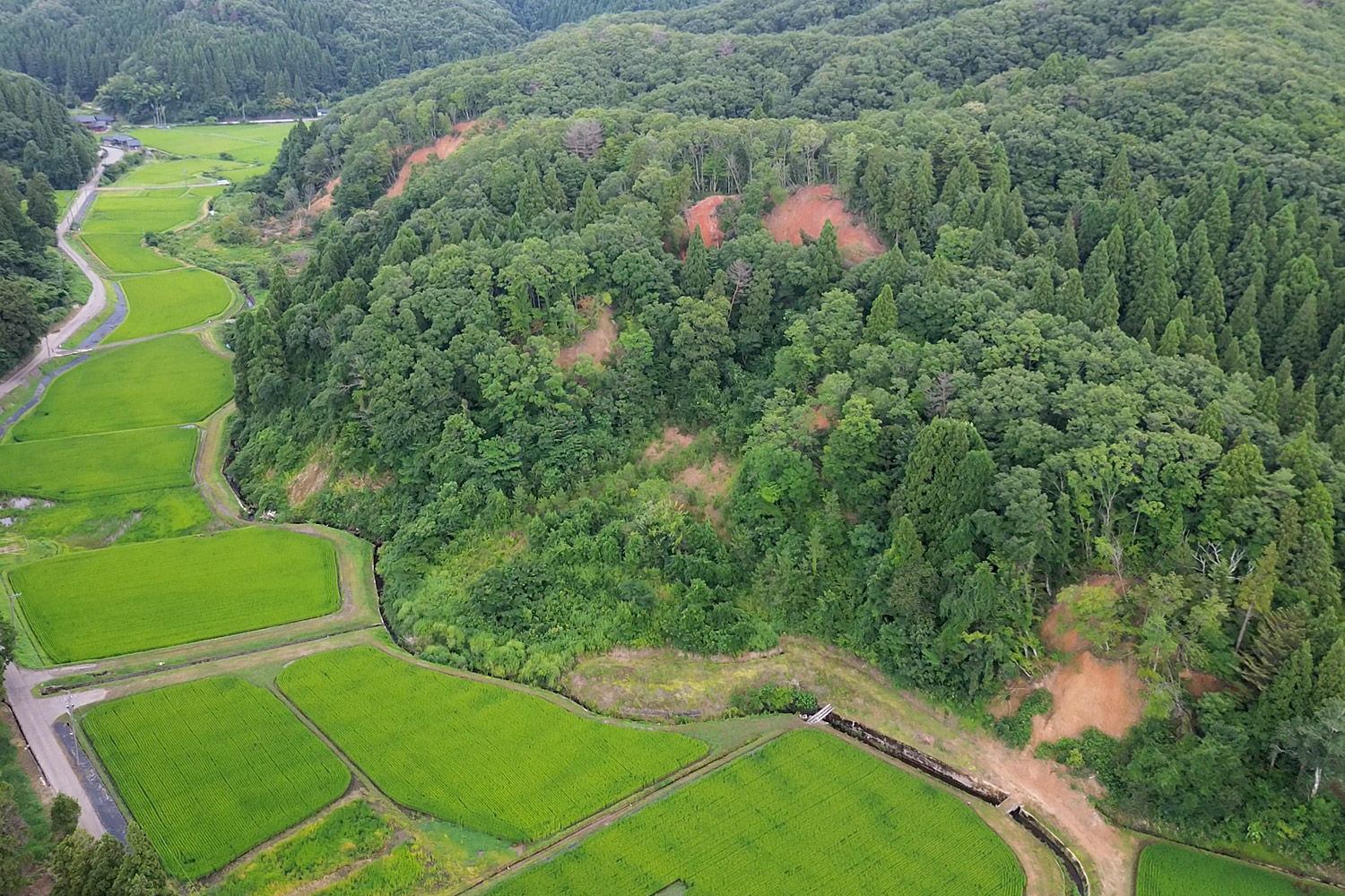 能登で多発した土砂崩れ