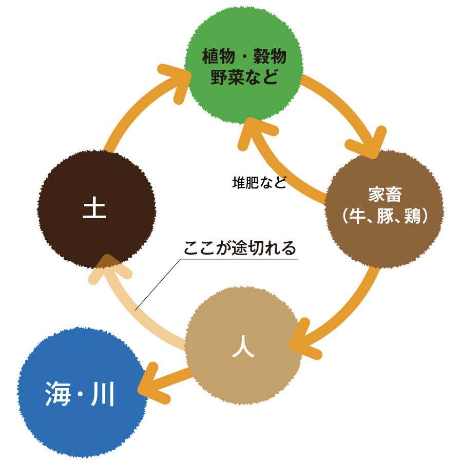 葉っぱのぐそをはじめよう