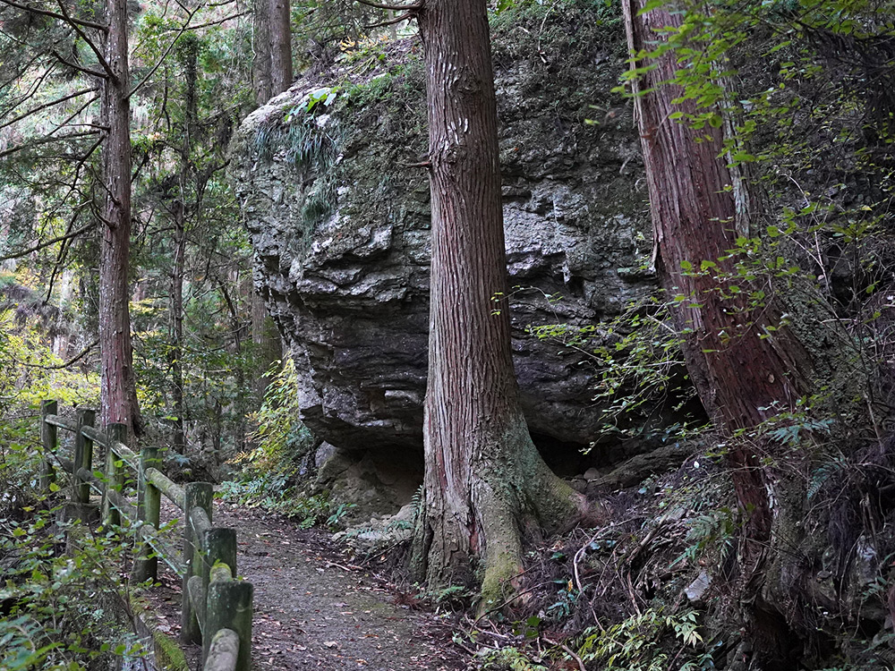 徳島県神山町に行ってきた