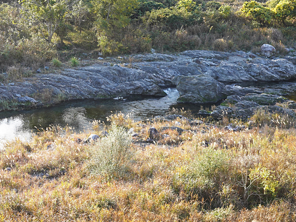 徳島県神山町に行ってきた