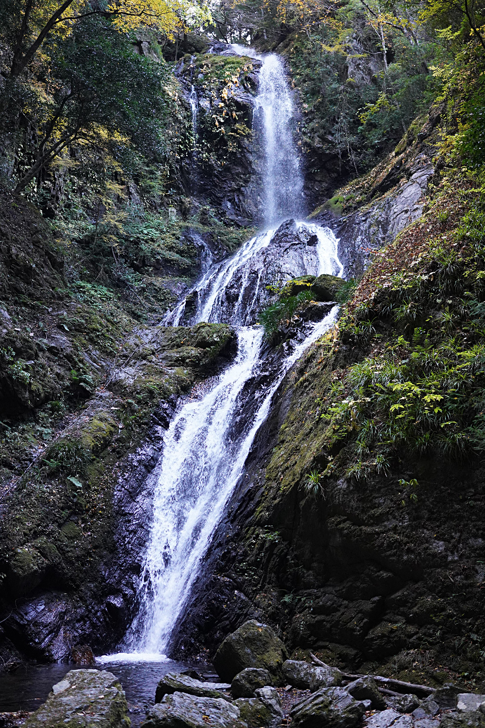 徳島県神山町に行ってきた