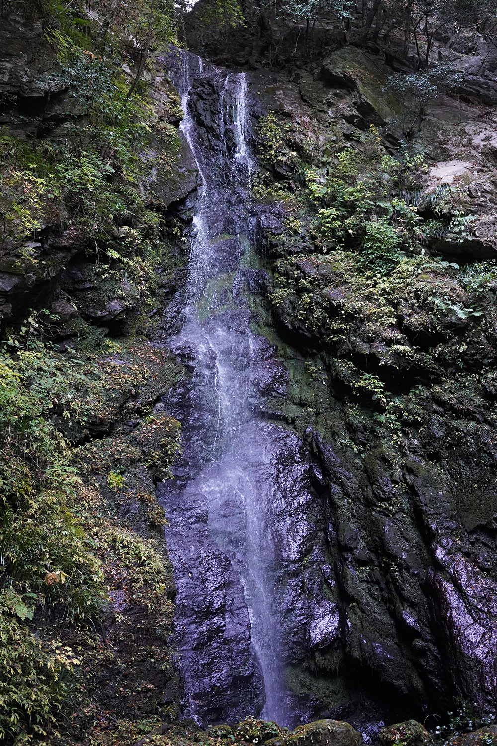 徳島県神山町に行ってきた